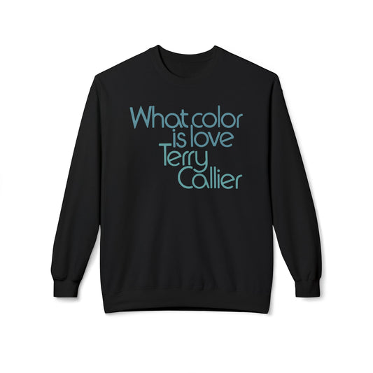 What Color Is Love Terry Callier Sudadera